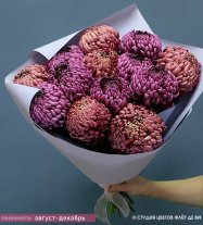 Букет из 13 хризантем Бигуди Ред и Пурпур